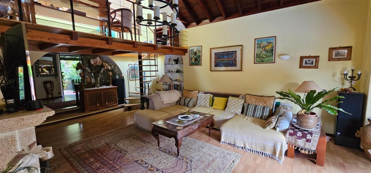 Villa La Paz 2 Пуерто-де-ла-Крус Екстер'єр фото